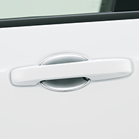 Door handle protection